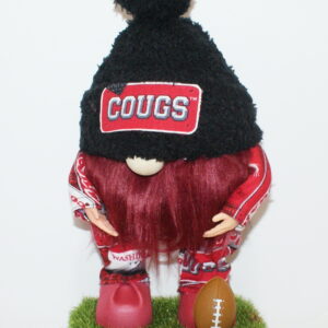 Football WSU Cougars 22