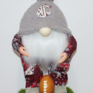 Football WSU Cougars 23