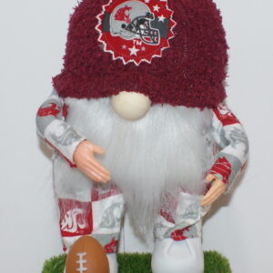 Football WSU Cougars 24