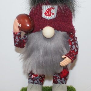 Football WSU Cougars 25