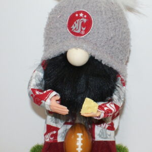 Football WSU Cougars 26