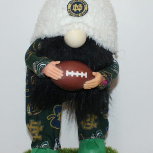 Football Notre Dame 5