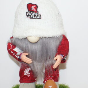 Football WSU Cougars 27