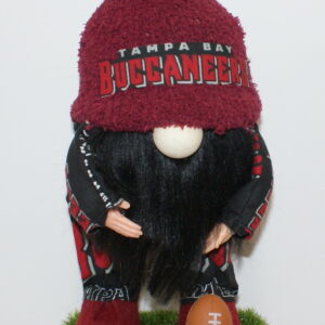 Football Tampa Bay Buccaneers 2