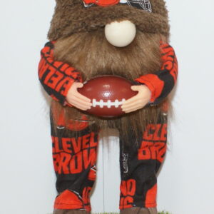 Football Cleveland Browns 2
