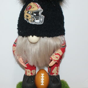 Football SF 49ers 17