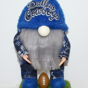 Football Dallas Cowboys 14