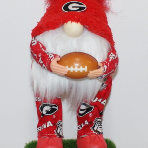 Football Georgia Bulldogs 4