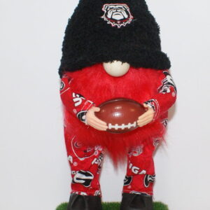 Football Georgia Bulldogs 5