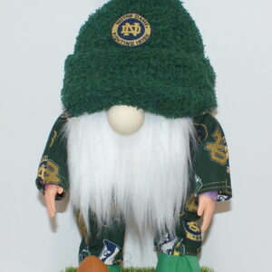 Football Notre Dame 6