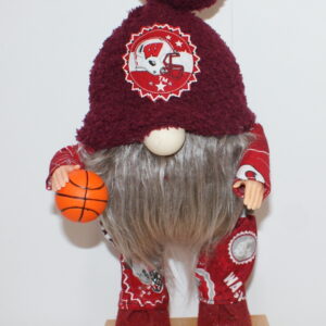 Basketball WSU Cougars 2