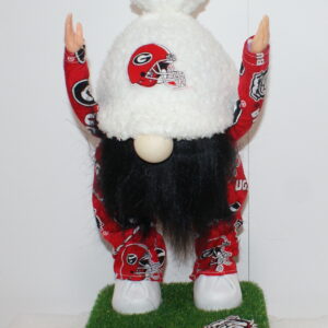 Football Georgia Bulldogs 6