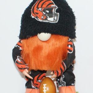 Football Cincinnati Bengals 3
