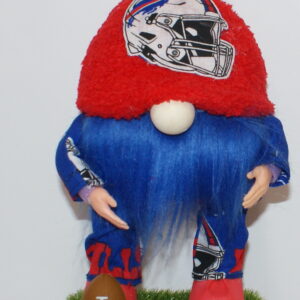 Football Buffalo Bills 5