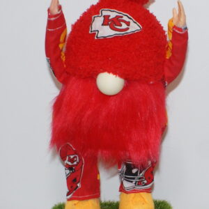 Football KC Chiefs 11