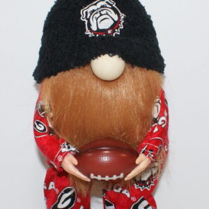 Football Georgia Bulldogs 4