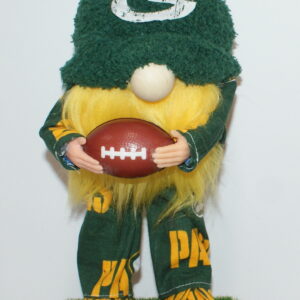 Football Green Bay Packers 20