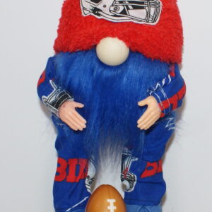 Football Buffalo Bills 7