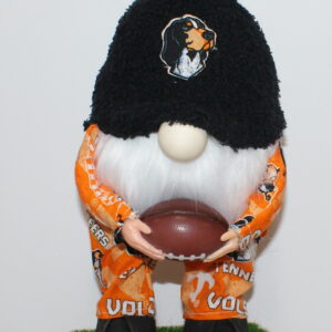 Football Tennessee Vols 1