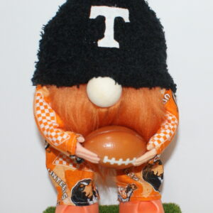 Football Tennessee Vols 2