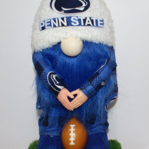 Football Penn State Nittany Lion 2