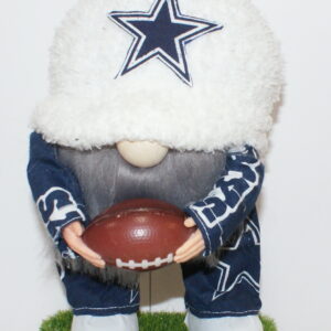 Football Dallas Cowboys 16
