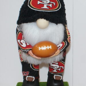 Football SF 49ers 18