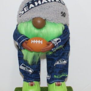 Football Seattle Seahawks 97