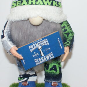 Football Seattle Seahawks 101
