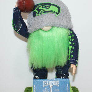 Football Seattle Seahawks 103