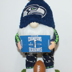 Football Seattle Seahawks 107