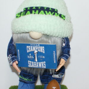 Football Seattle Seahawks 108