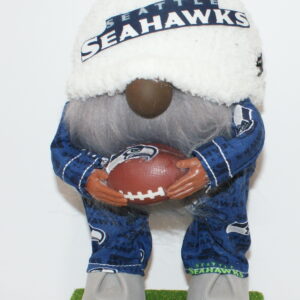 Football Seattle Seahawks 112