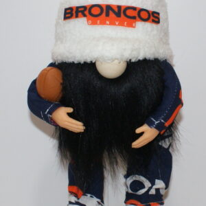 Football Denver Broncos 14