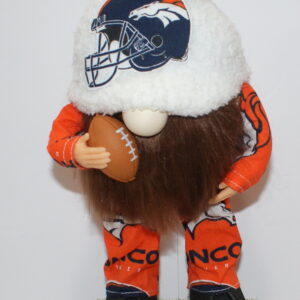 Football Denver Broncos 15
