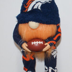 Football Denver Broncos 16