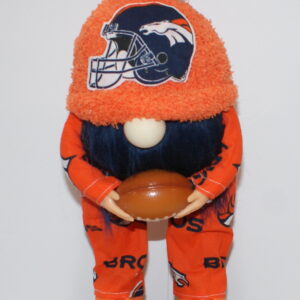 Football Denver Broncos 17