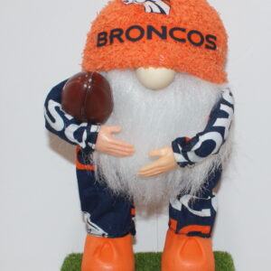 Football Denver Broncos 18