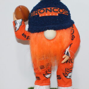 Football Denver Broncos 19