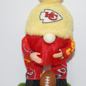 Football Kansas City Chiefs 14