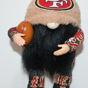 Football SF 49ers 19