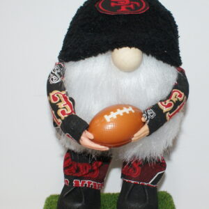 Football SF 49ers 20