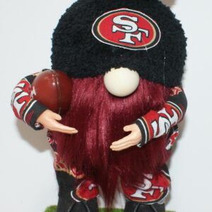 Football SF 49ers 21