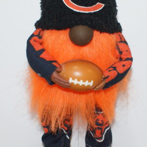 Football Chicago Bears 5