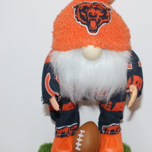 Football Chicago Bears 6