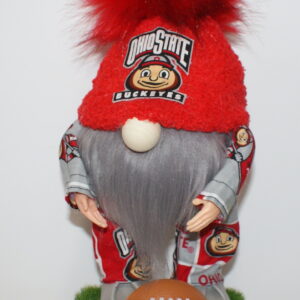 Football Ohio State Buckeyes 10