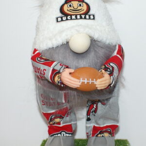 Football Ohio State Buckeyes 11