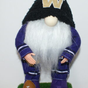 Football UW Huskies 31