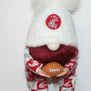 Football WU Cougars 29