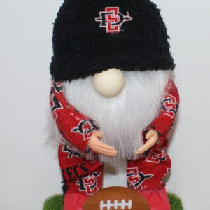 Football SDSU Aztecs 2